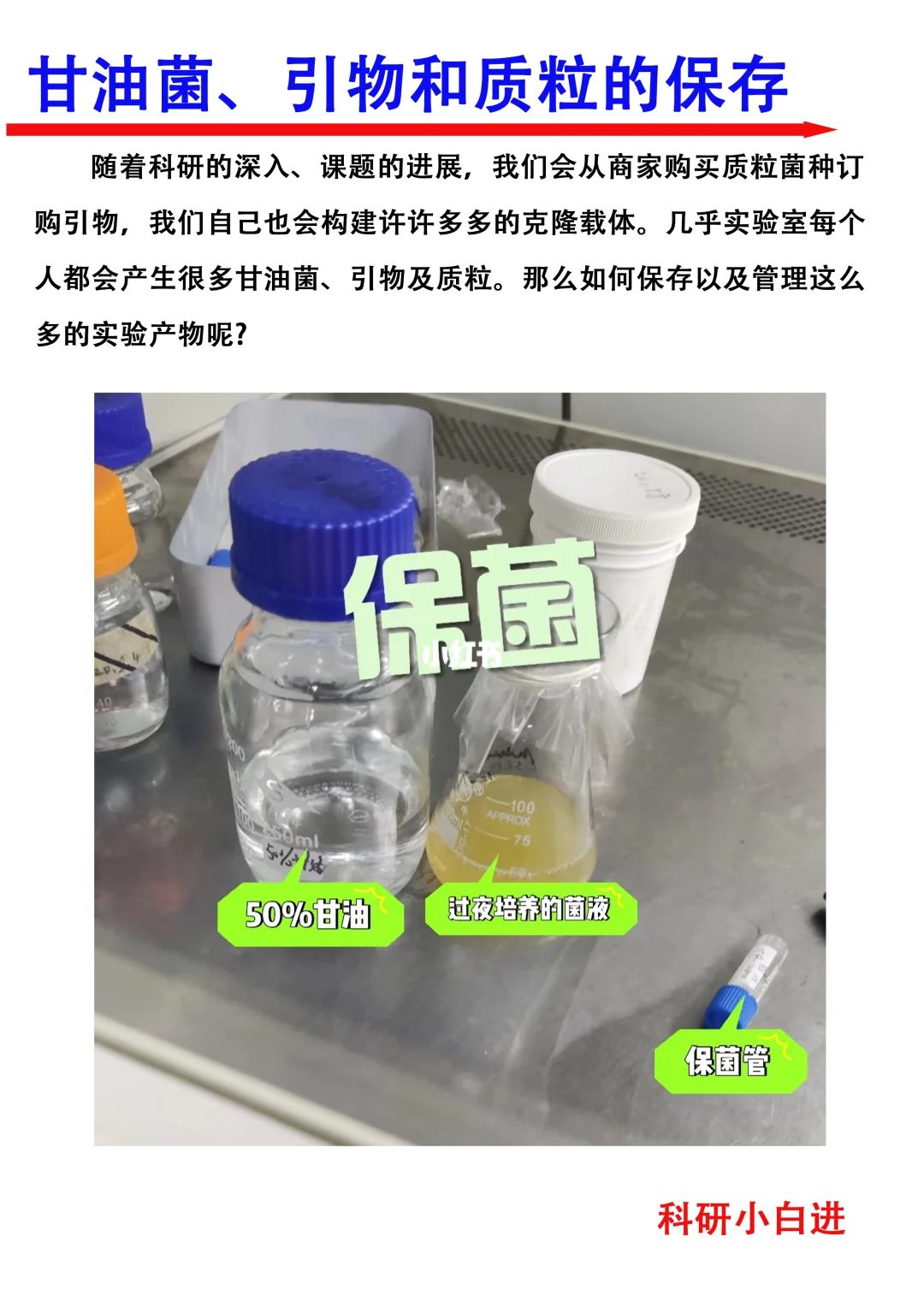 🔥甘油菌、引物和质粒的保存，你真的会了吗？