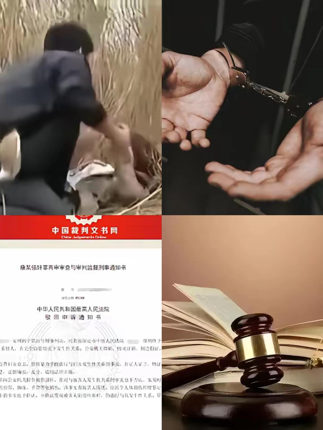 河北男子见女邻居麦田浇地，将其拽进小树林强行发生关系，女子全身淤青报警，DNA锁