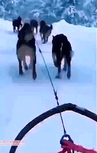 这绩效不打个S都不是人