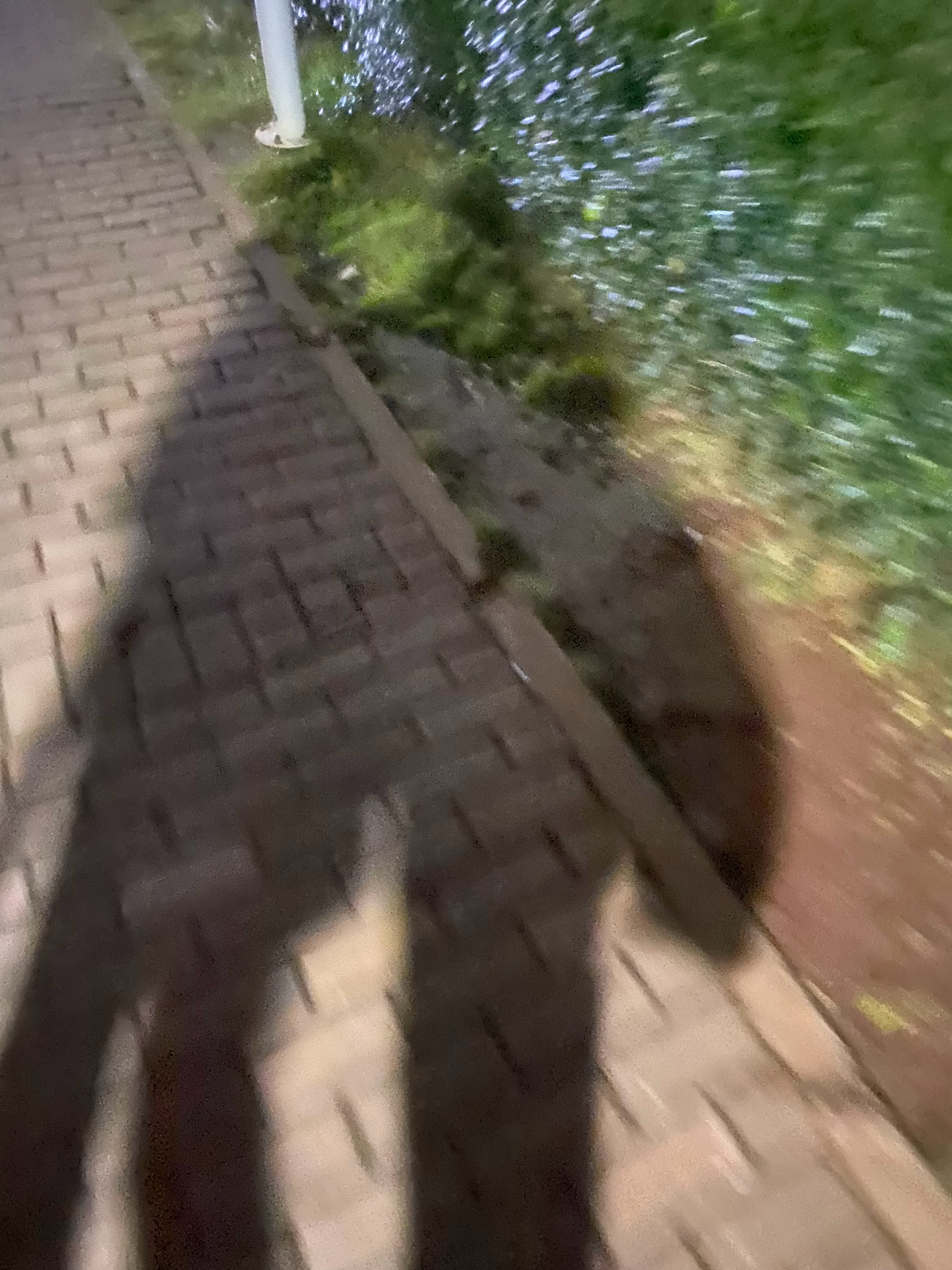 分享图片 ​​​
