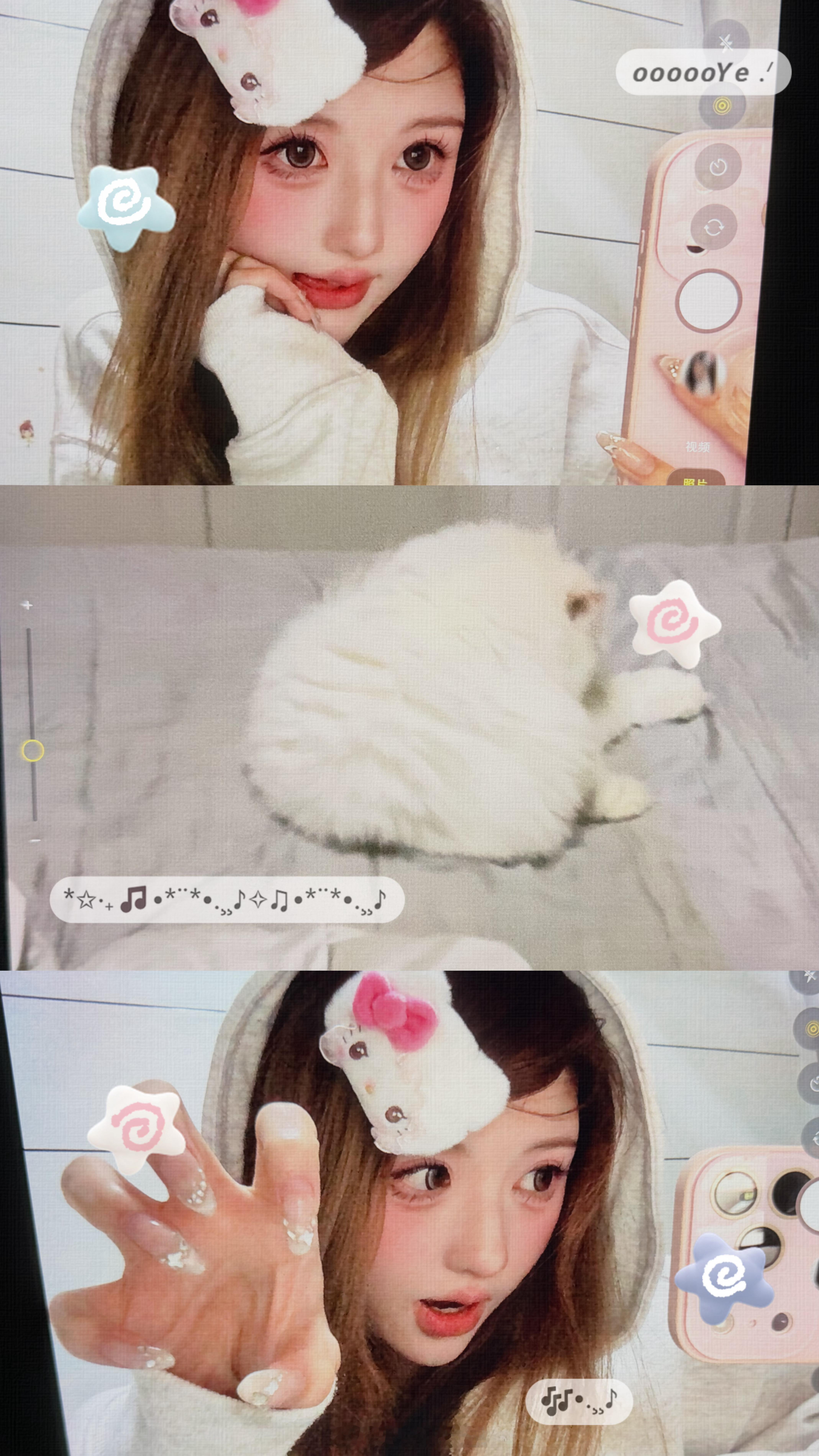 猪咪 