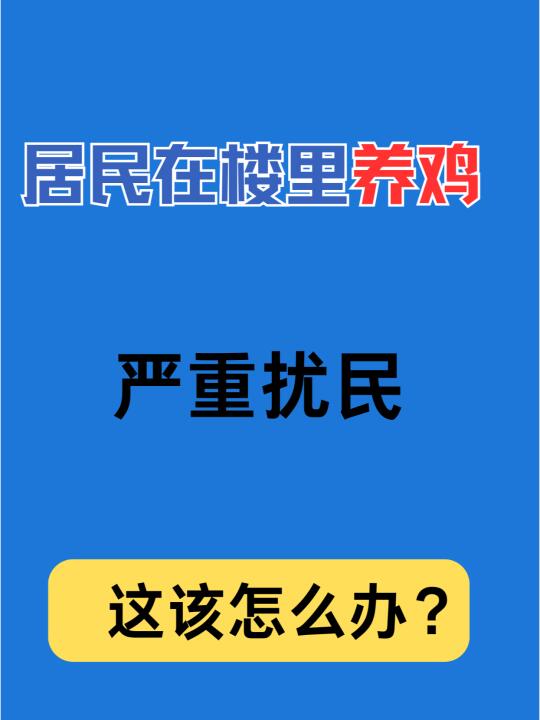 邻居在楼里养鸡扰民，怎么办？