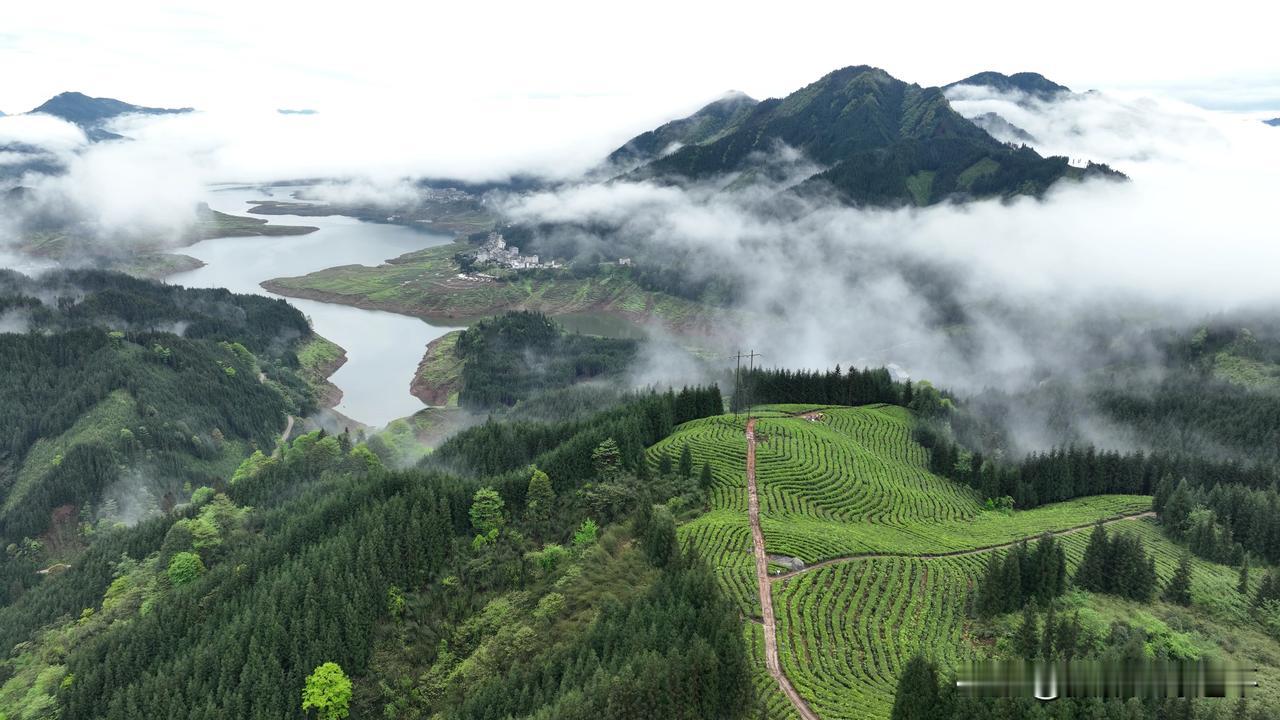 是今天拍摄的洪雅县瓦屋山镇复兴村云中花岭图片，与大家分享#四川美景古镇# 瓦屋山