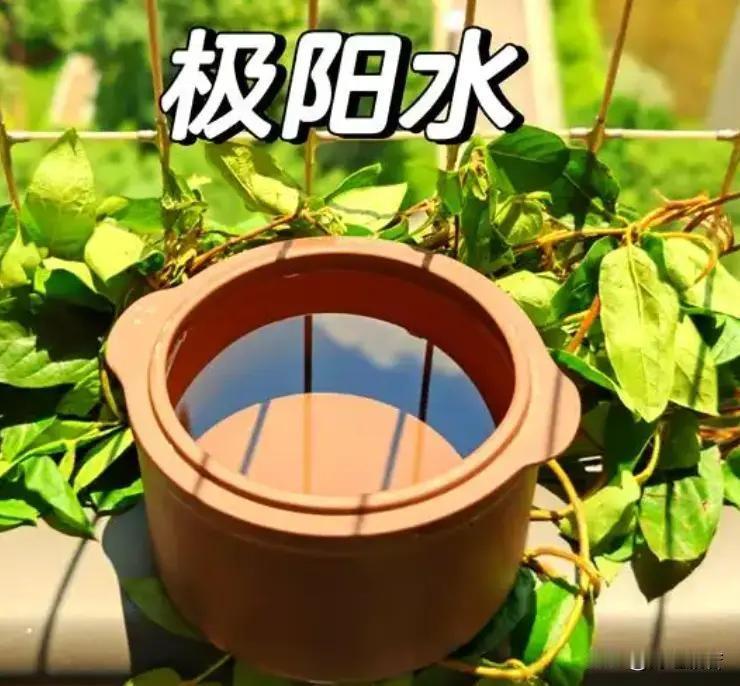 朋友们端午安康！今天有雷阵雨，出门带伞。

6月19日，北京多云转阴有雷阵雨，雷