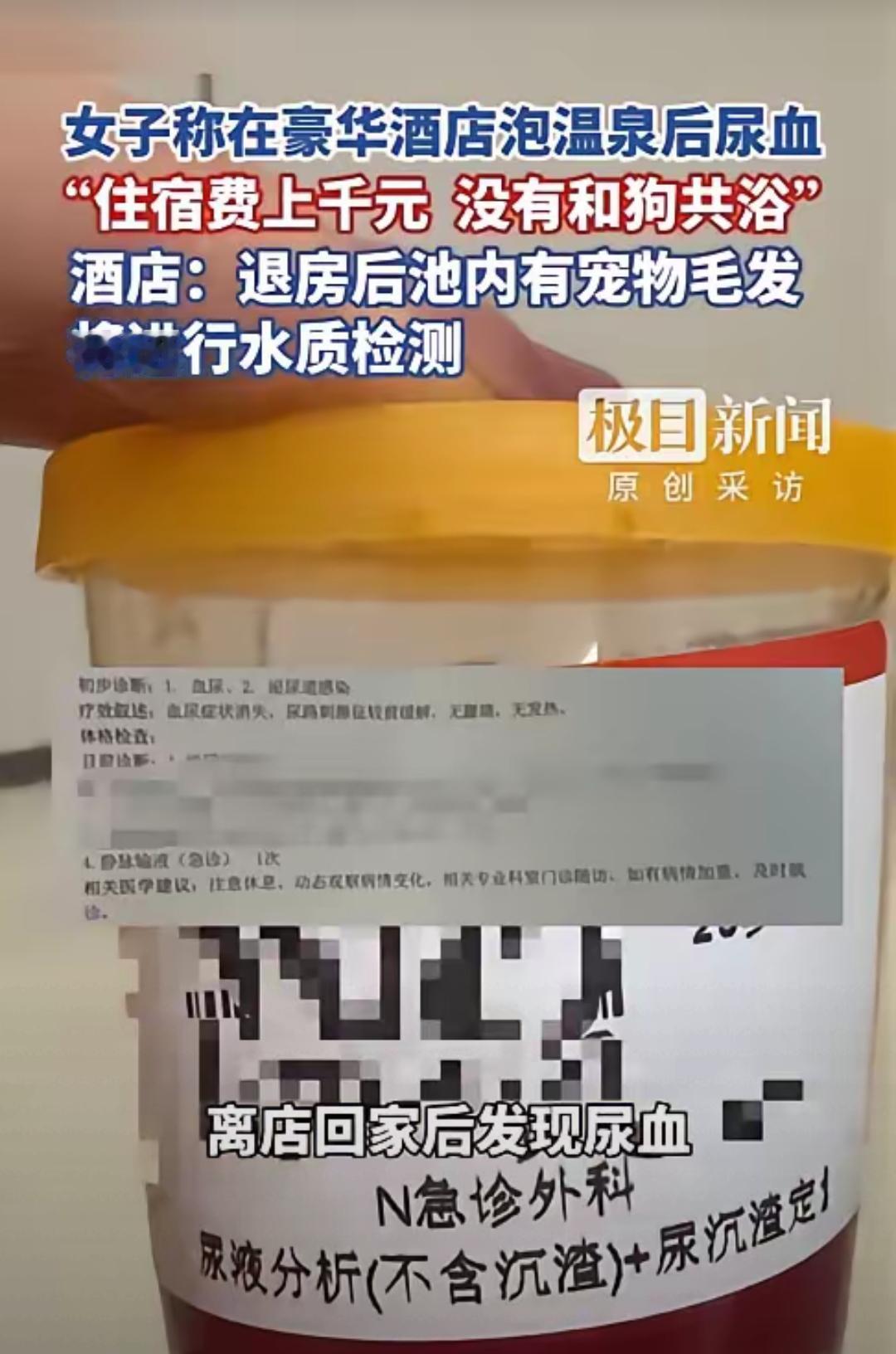 千元豪华酒店泡出尿血！一池子狗毛扯出罗生门
 
花千元带狗住高端酒店，泡完私汤竟