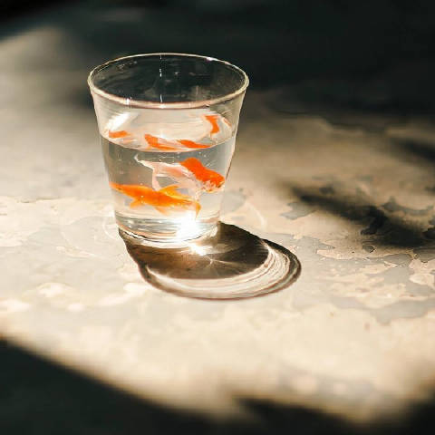 小萧萧划水版啊