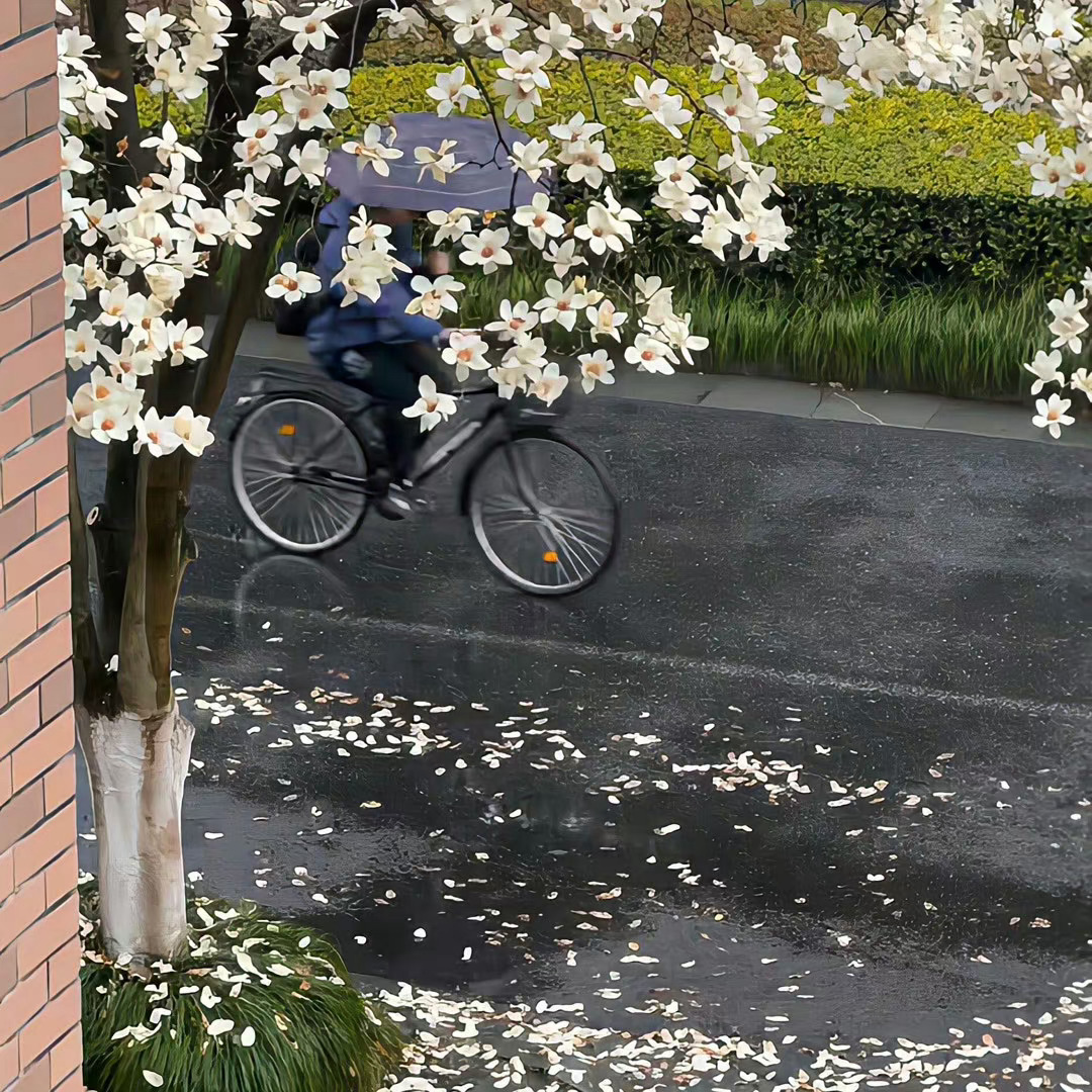 古德猫宁今日月破嘛，还是比较适合做一些断舍离的事情，同时也适合多做一些纠正纠偏的