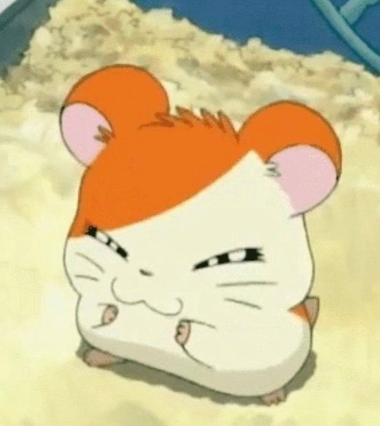 旼小太郎🐹 