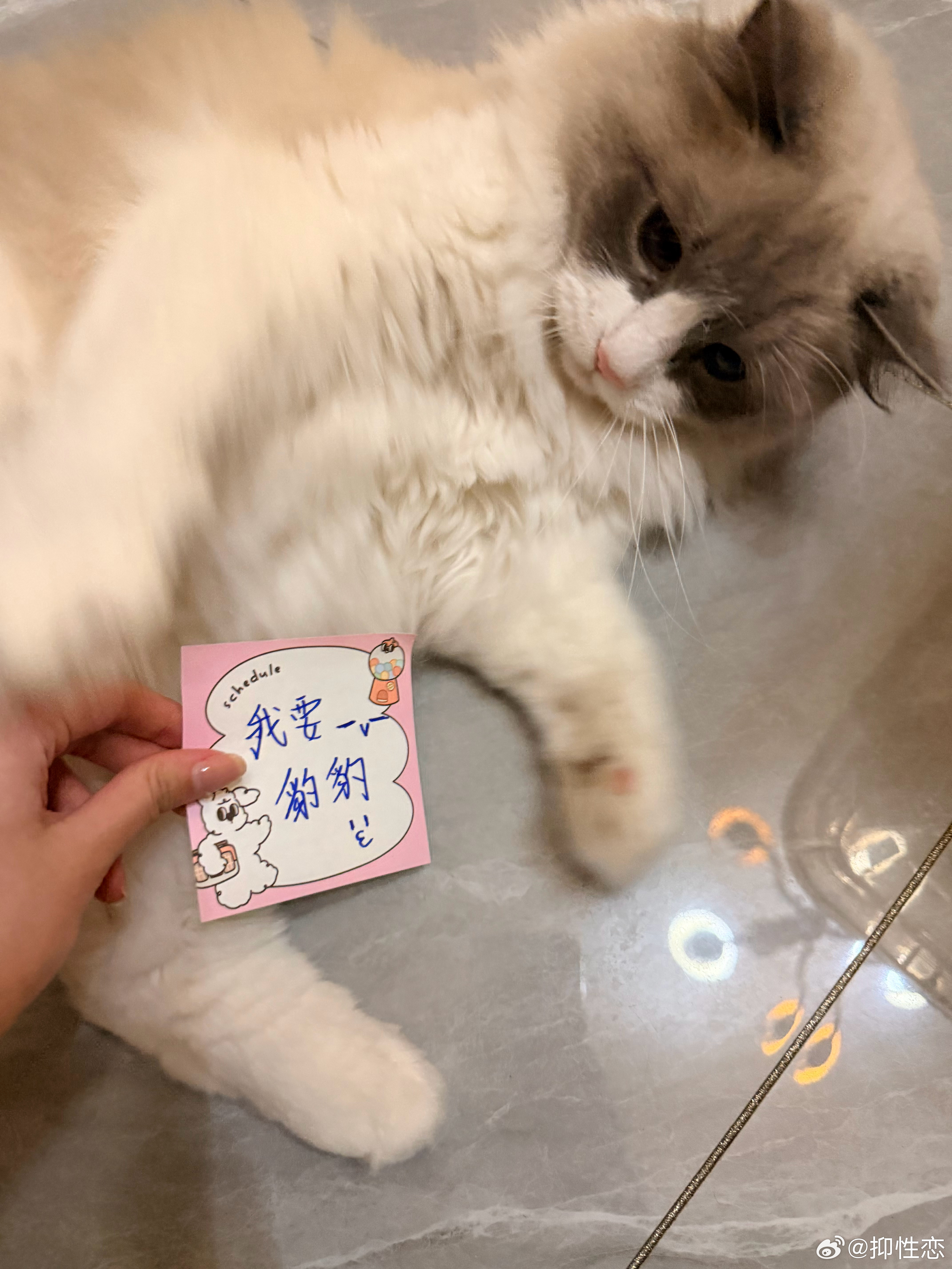 分享图片 