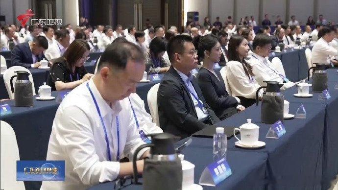 杨紫出现在广东新闻联播 