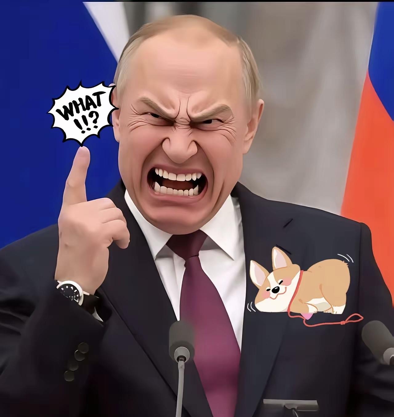 快讯！快讯！
俄罗斯突然宣布了！
10月6日，俄罗斯对乌克兰展开大规模导弹袭击。