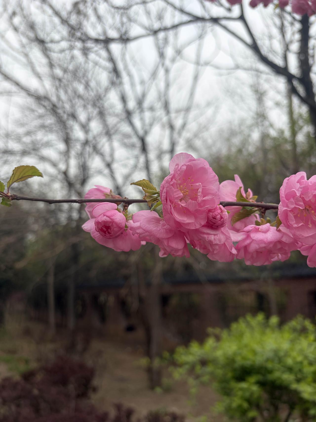 现在的电视剧为什么不招人待见？
因为大家都不傻，当一个个神剧出现
大家觉得有种被