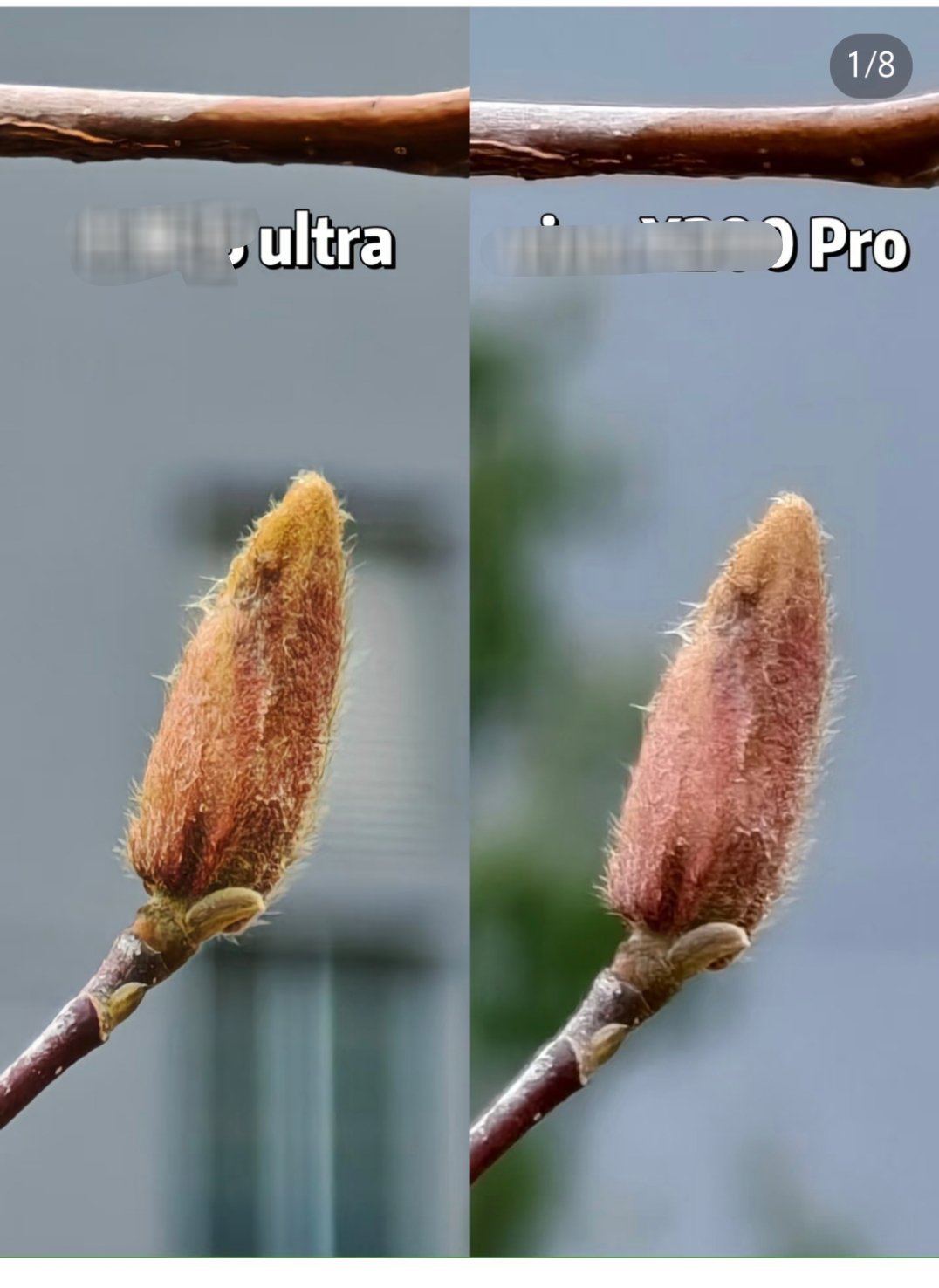 最近有一小撮无知的人，用某U对比Pro，还有理有据的叽叽歪歪.....说实话U拍