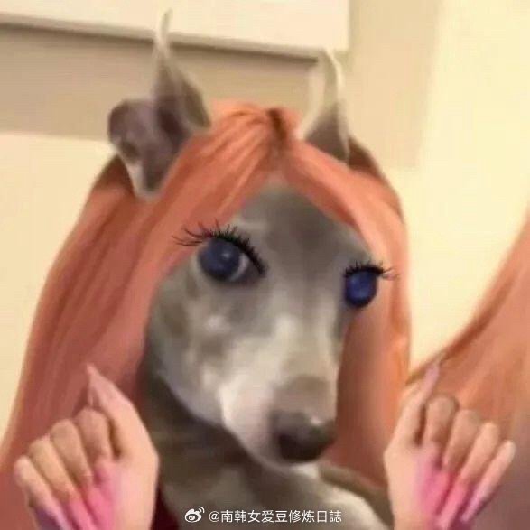 【不知道，我的身材很曼妙】是我最喜欢的年度爆梗有种不管外界再怎么纷纷扰扰 fin