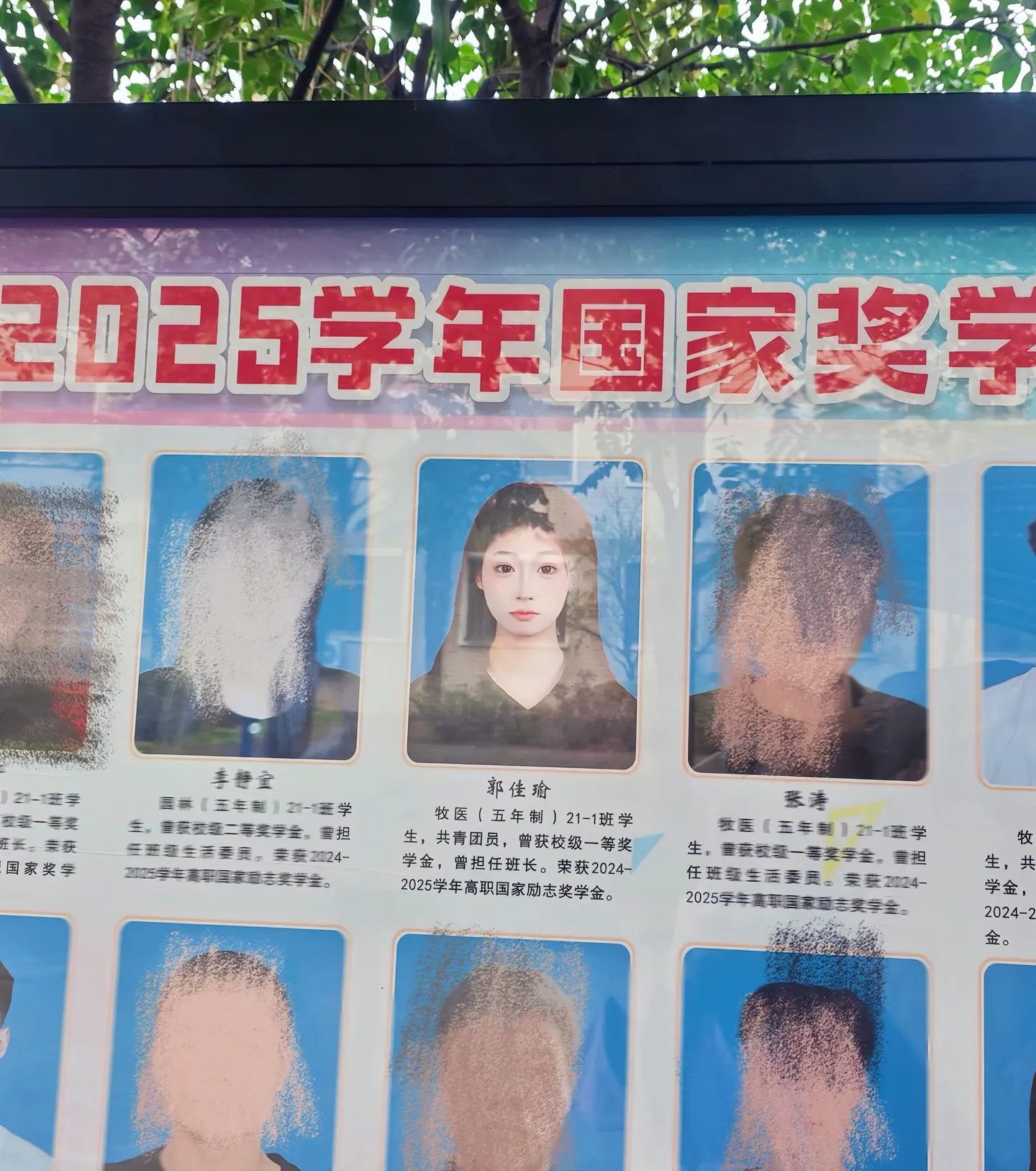 骗你的 真正令20岁少女心情澎湃的是学校光荣榜上的自己