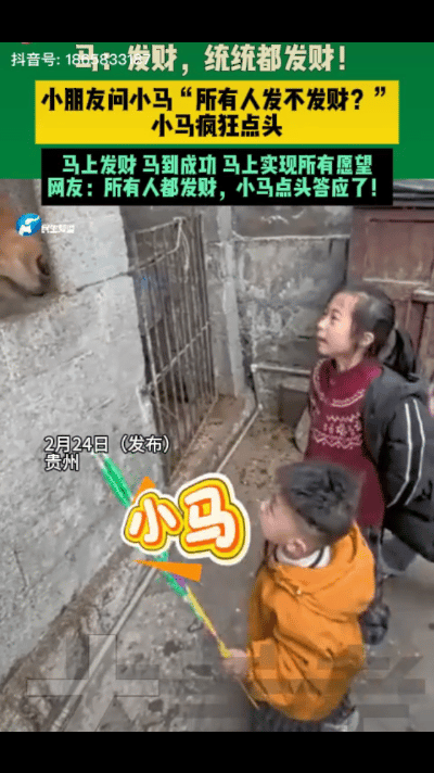 解释不清了！贵州，三个小孩来到马棚前，小孩姐问：“小马，我们所有人发不发财？”没