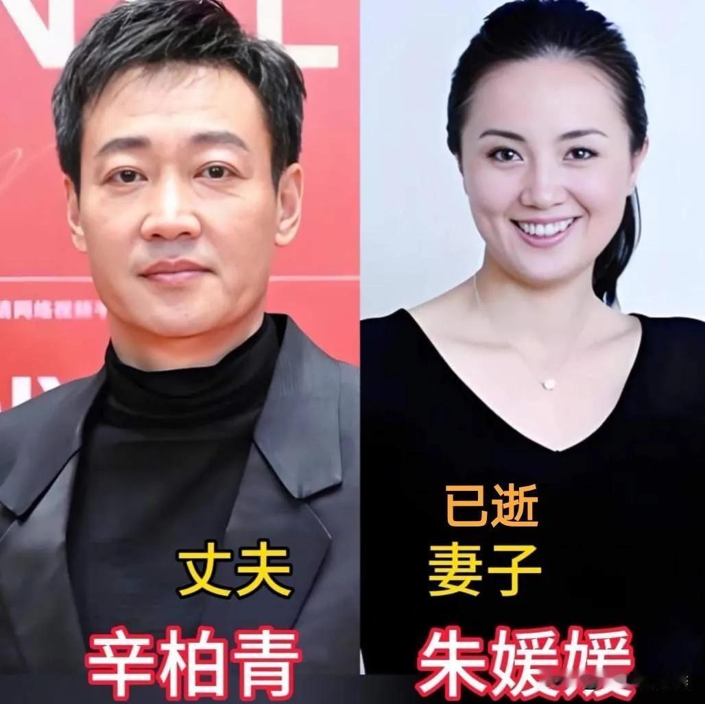 张学友罗美薇是歌神和隐退影星的默契，赵雅芝黄锦燊是白娘子的现实爱情，胡军卢芳是硬