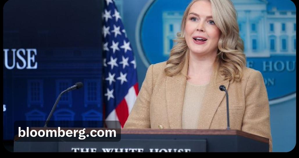 白宫证实，美国军方于9月在加勒比海对另一艘涉嫌贩毒的船只发动了第二次打击，但坚称