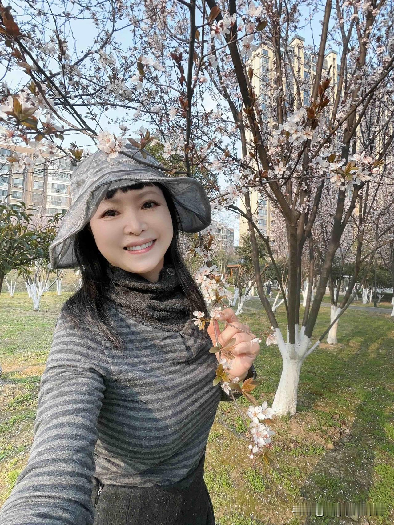 柳树垂丝，春风拂面。
此刻紫叶李的浪漫，是春天写给城市的诗。
去年就发现了这片美