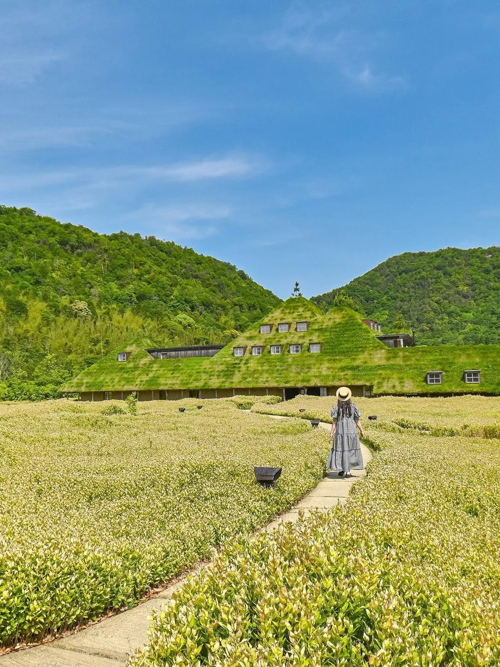 关西花火|明晚来琵琶湖赏花火❗附免费观赏位