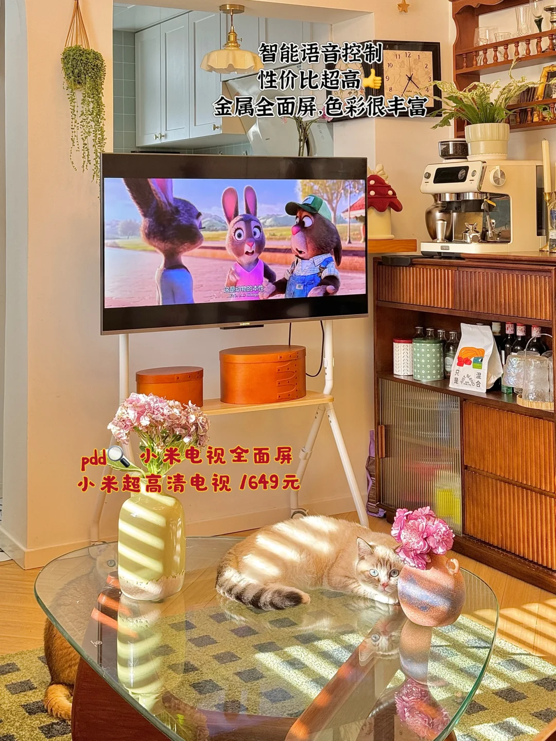 在最好的年纪，追上了最贵的房价🏡