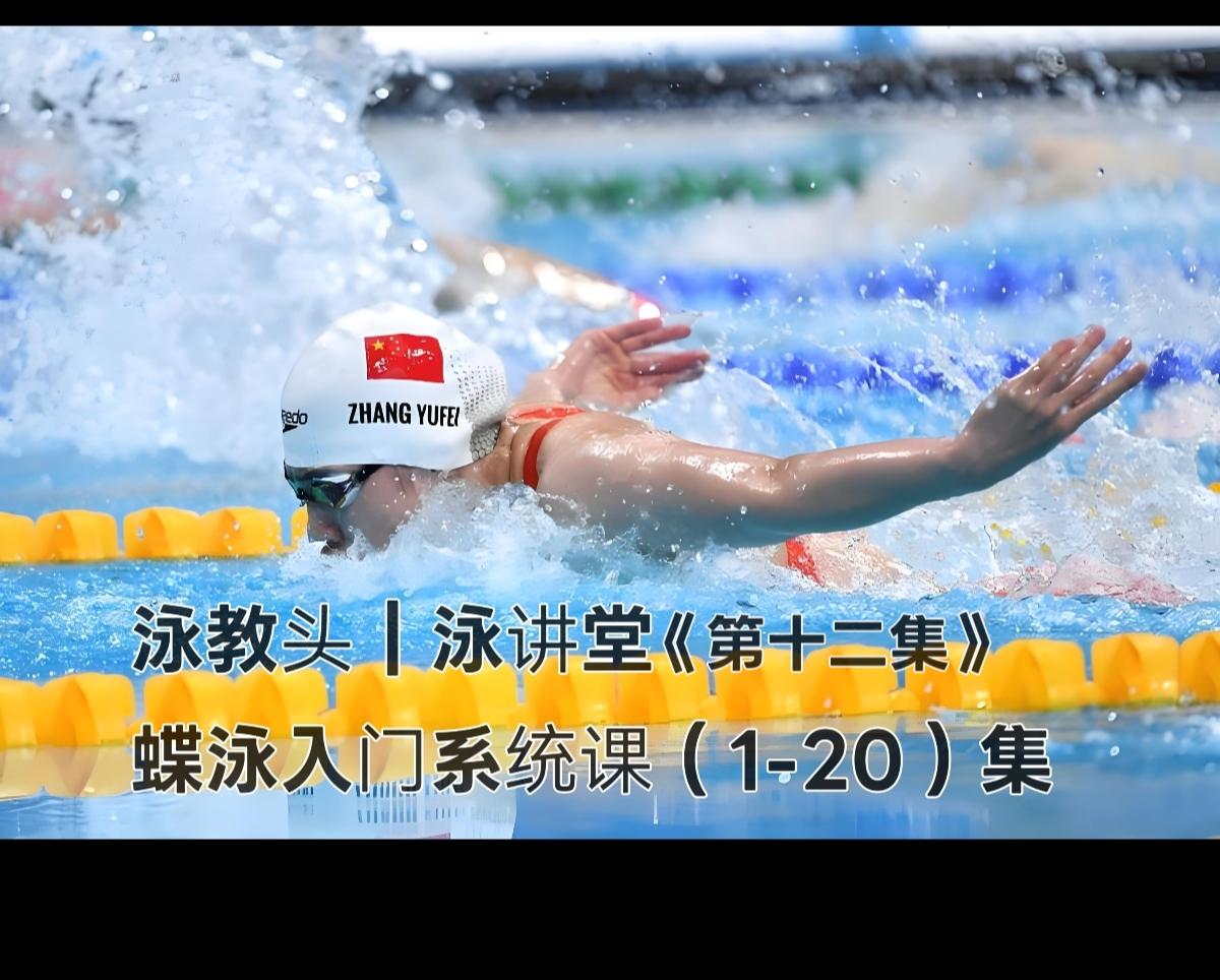 泳教头｜泳讲堂第12集：移臂要轻快，别甩肩用力
 
蝶泳想游得轻松不受伤，关键在