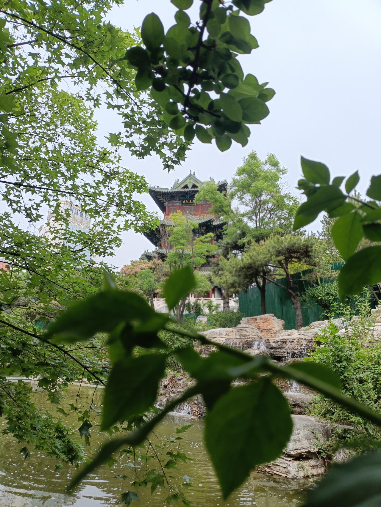 分享手机里最美的随手拍