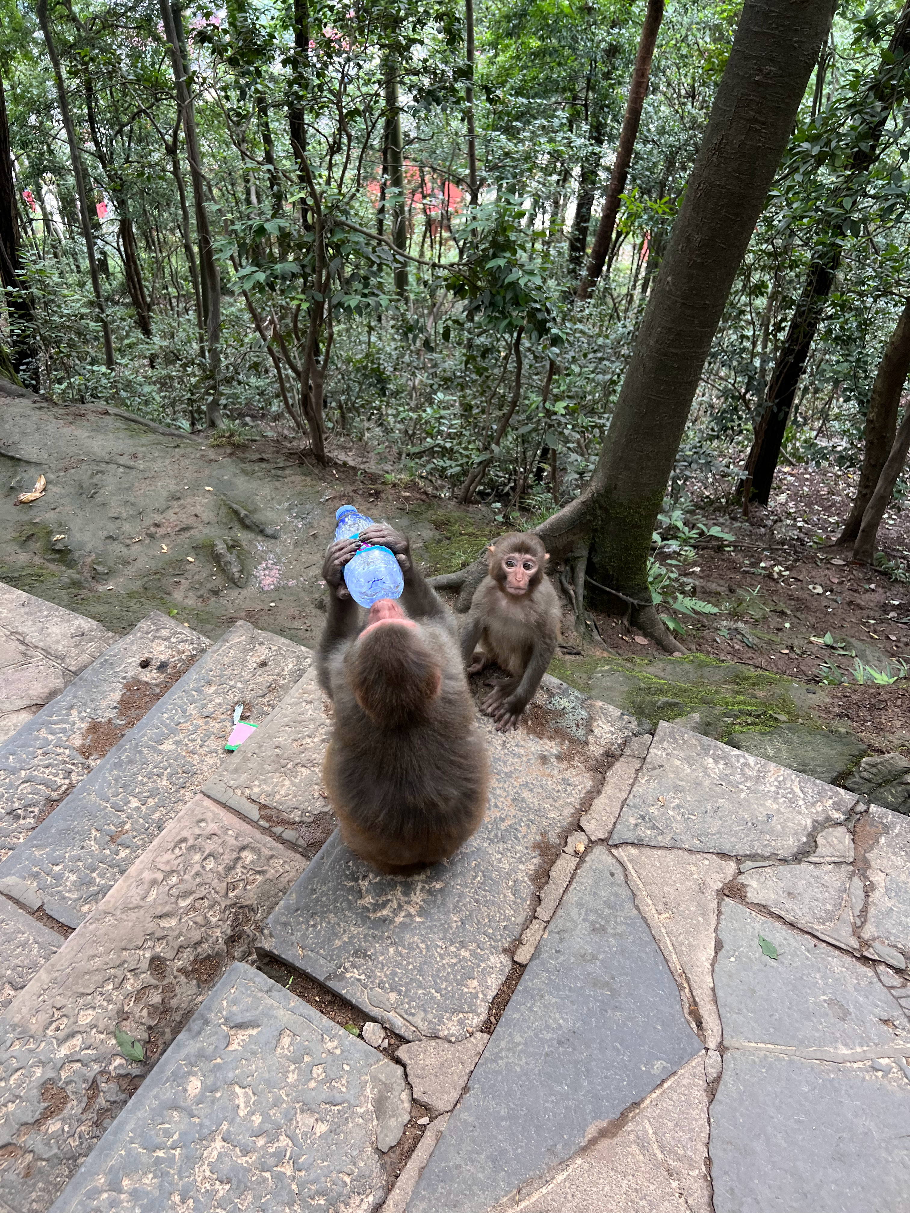 我已经做好各种准备了，什么吃的都没拿，就带了一瓶水，还是被中途拦道给要走了[苦涩