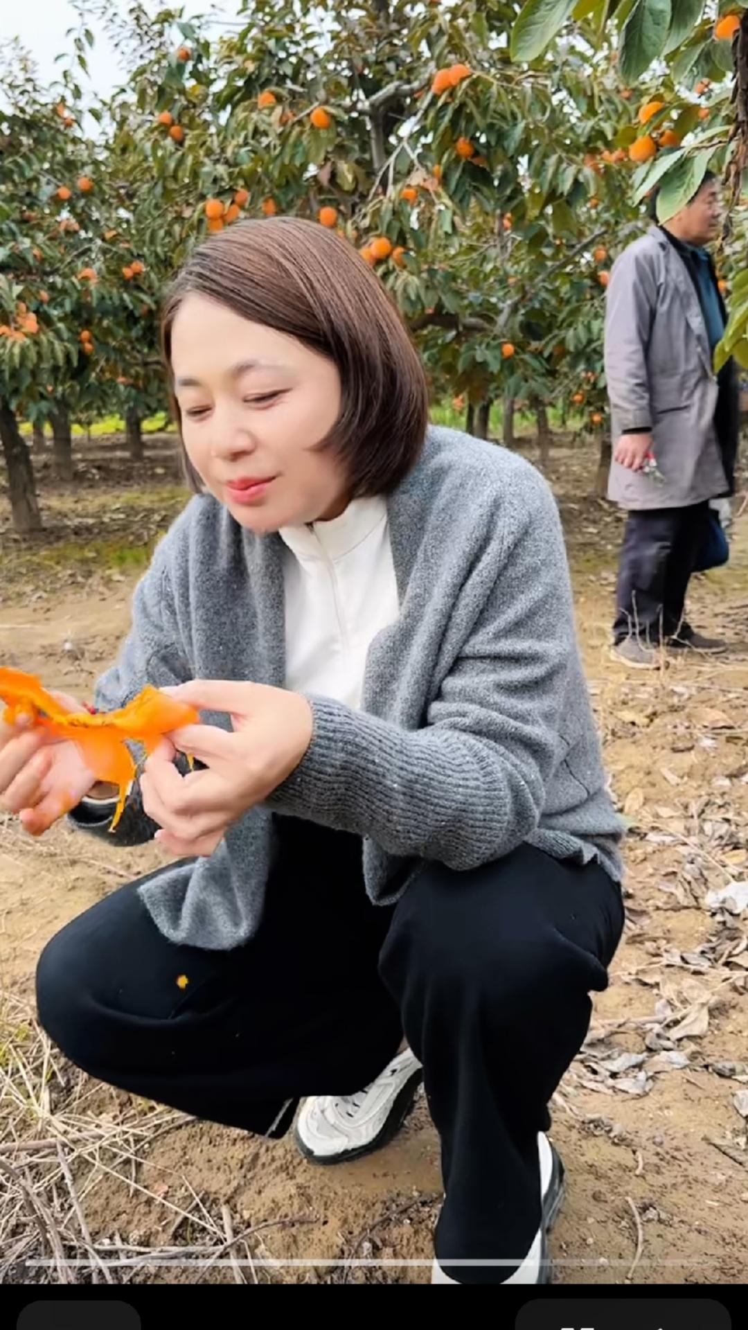 渭北高原的风，吹了二十八年
吹老了坡上的柿树，吹亮了你眼底的暖
你从黄土里起身，
