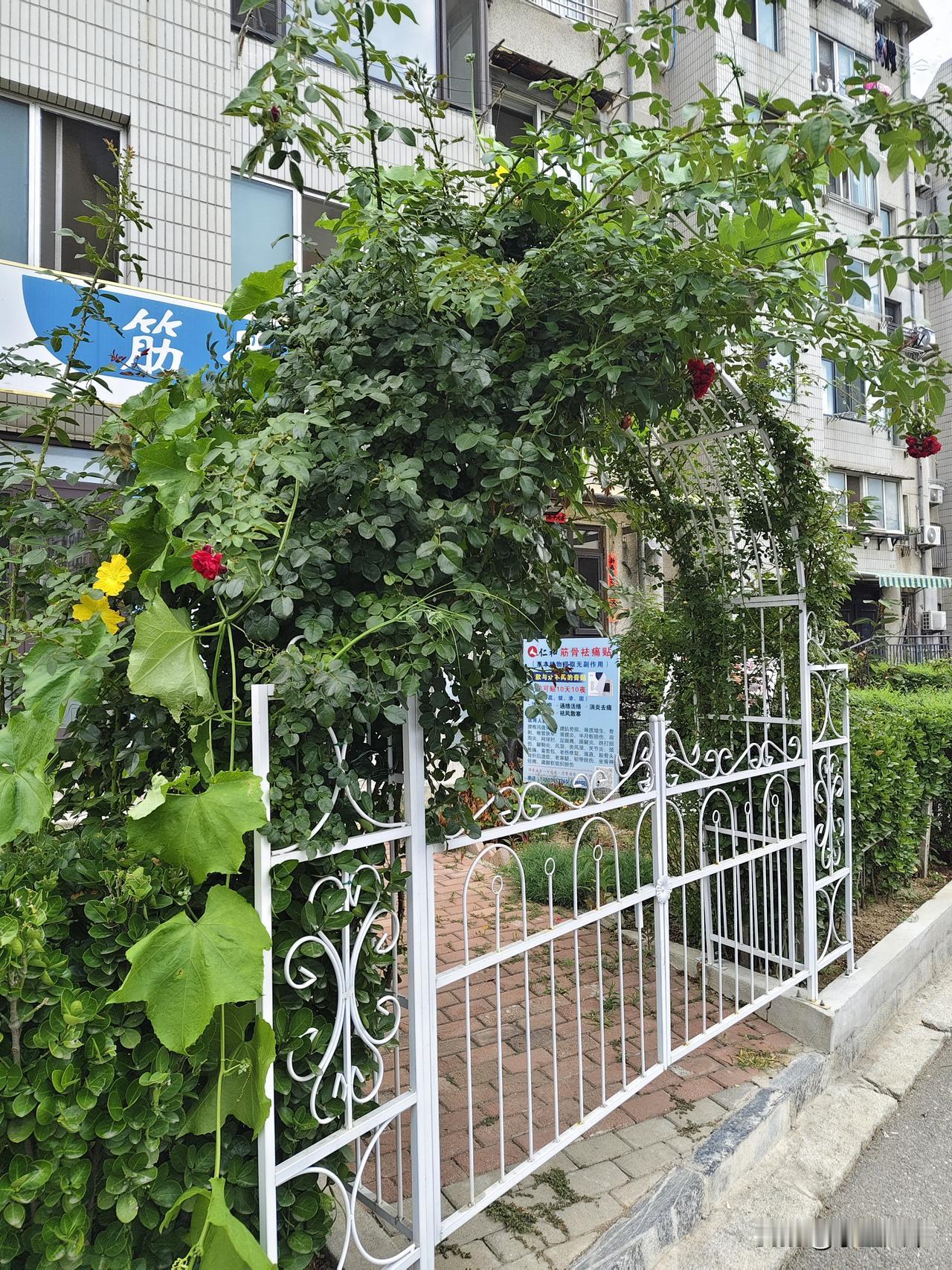 晒图笔记大赛本地早市上面的一家按摩店的小院，每次路过都看到不一样的变化感觉是一家