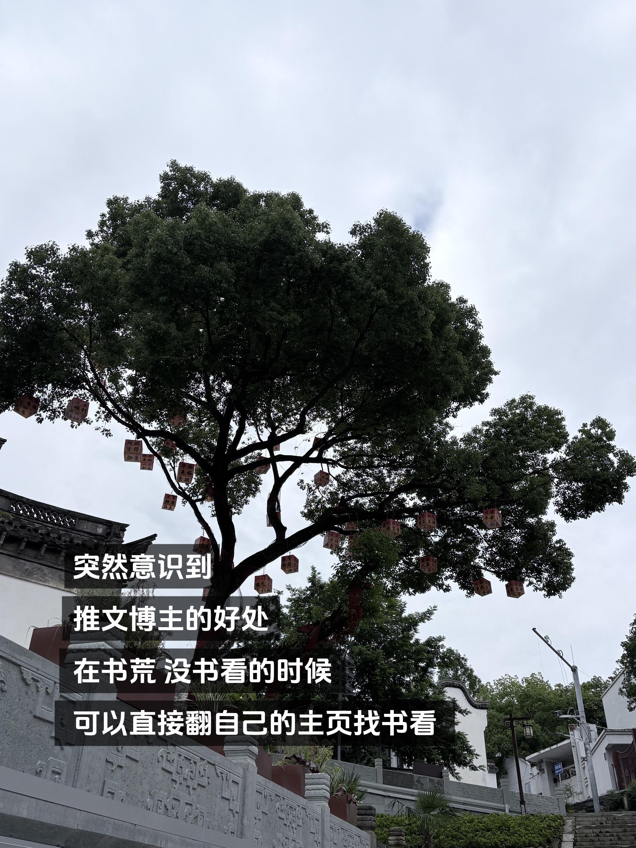 对 这不对。