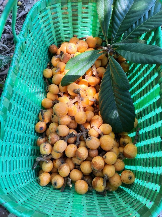 春意盎然，万物复苏的时节，感受大自然温柔的拥抱，让心灵沐浴在温暖的阳光下。 