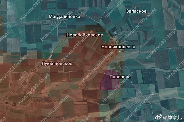 50%的帕夫利夫卡定居点被俄军解放 