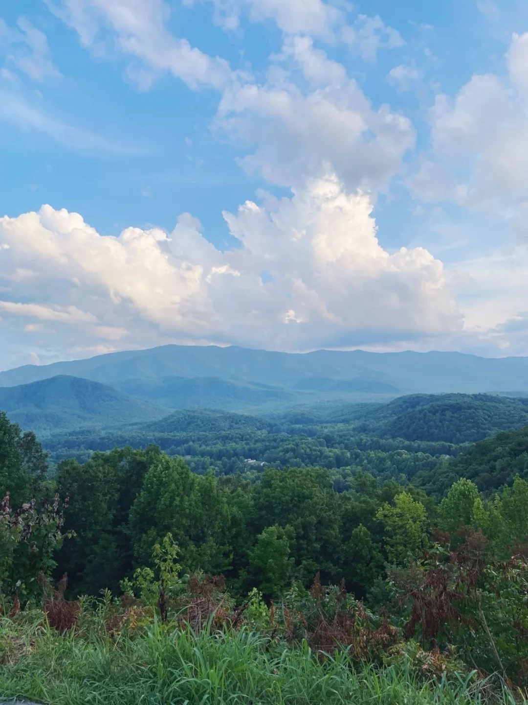 蓝顶山里的夏天☀️🍃