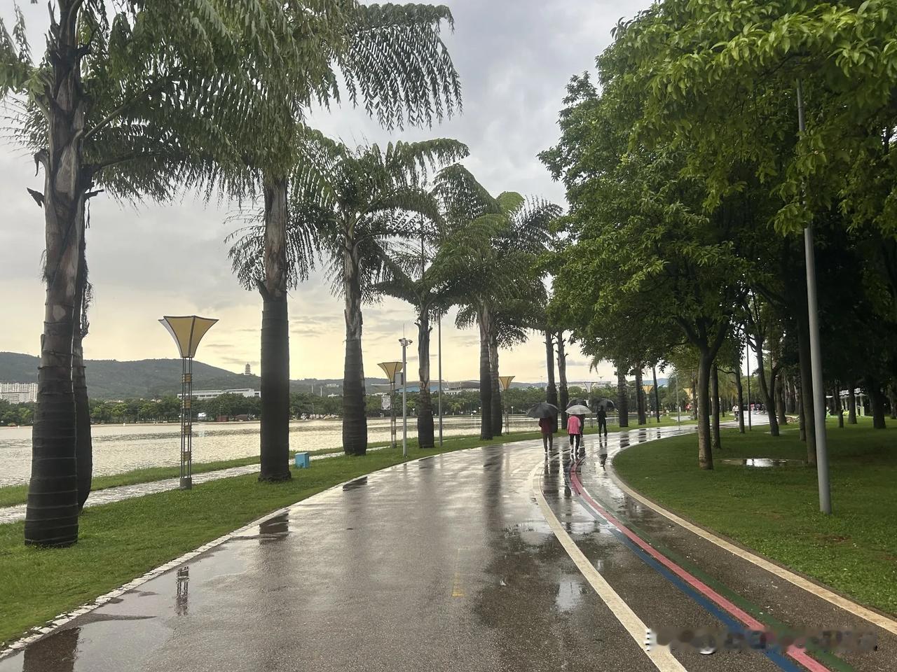 为什么很多三高老人在弥勒居住一段时间后病情稳定了？
我不是专业医生，只能通过我妈