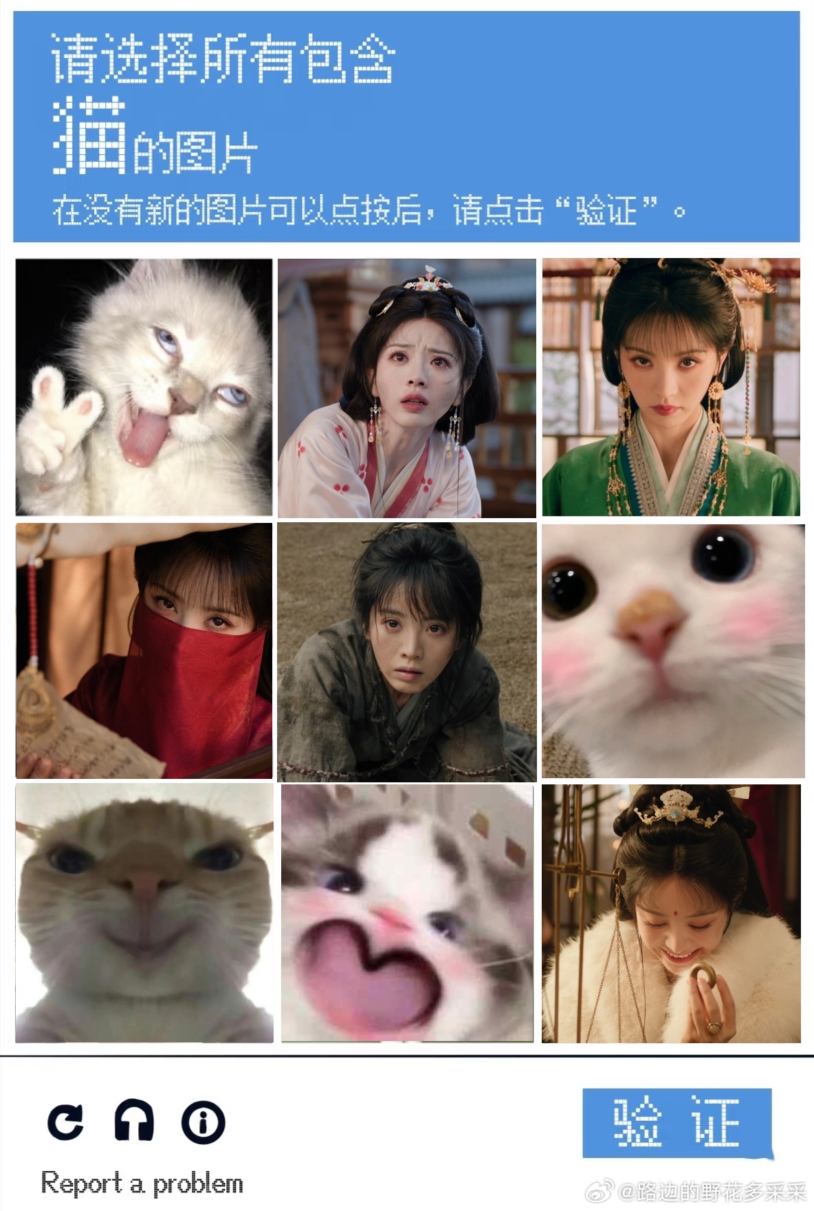 请问你弄丢的是这个君黛还是这个魏娆，要都不是的话是不是这个vv啊[流鼻血][流鼻