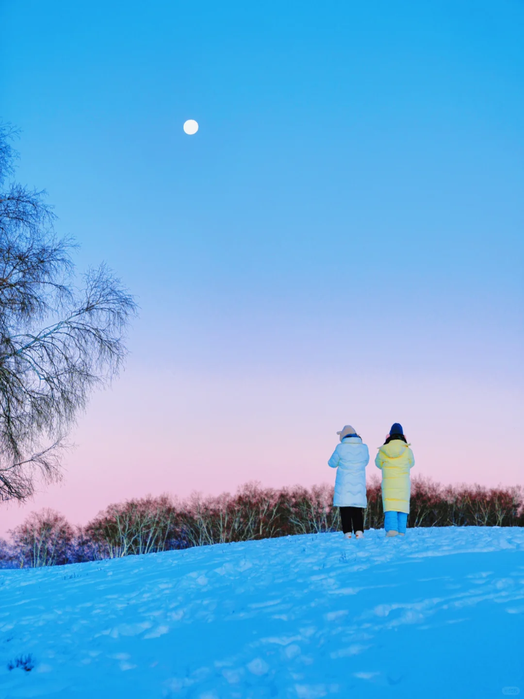 相比于东北❄️更喜欢机票便宜一半的乌兰布统