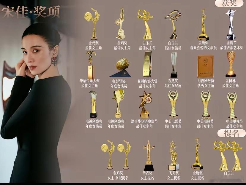 有网友说宋佳五个大奖水了三个给大家捋一下宋佳比较重要的奖，有两次白玉兰，两次金鸡