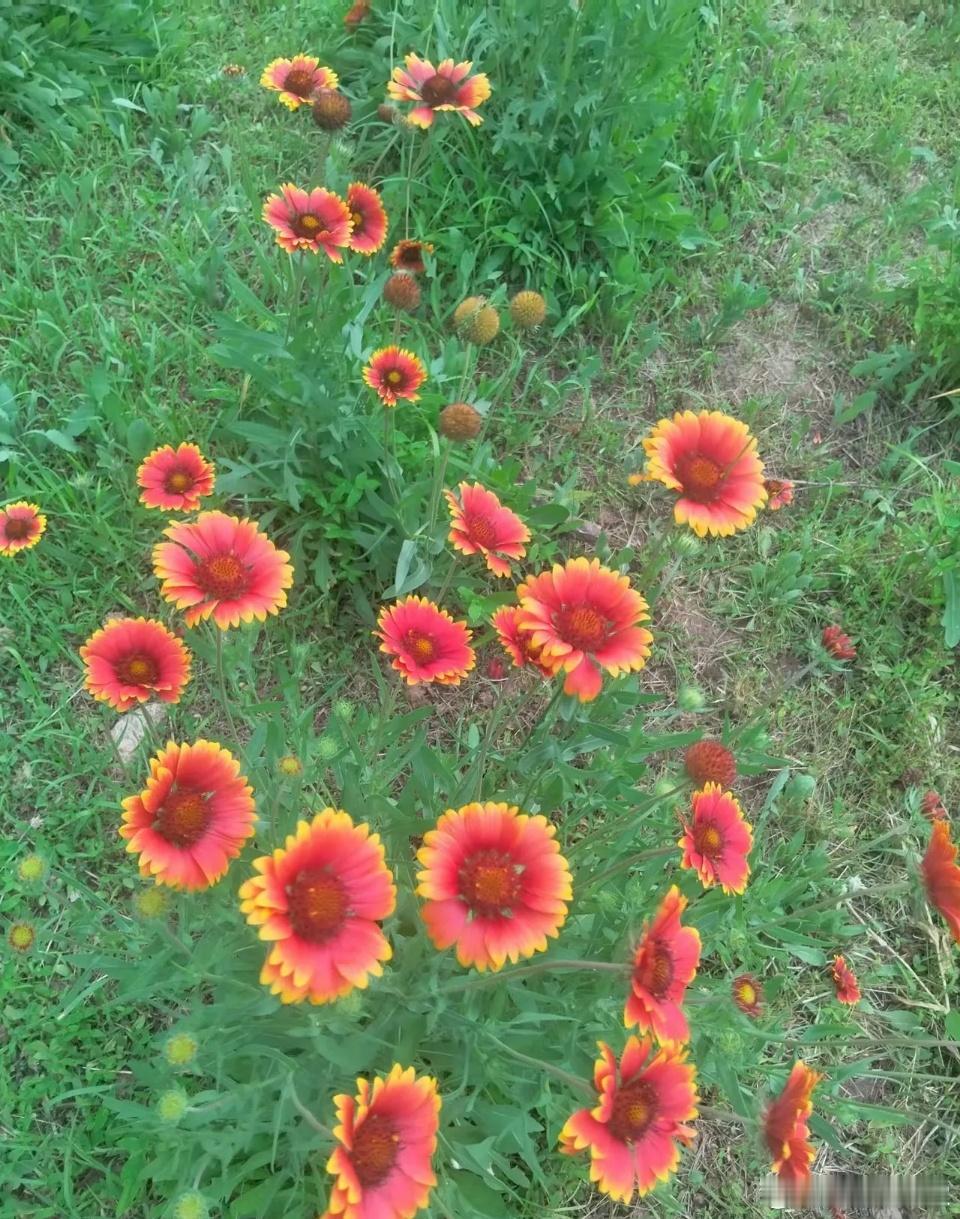 8月19日早盘重要财经资讯汇总1、美股三大指数集体收涨，纳指涨0.16%，道指涨