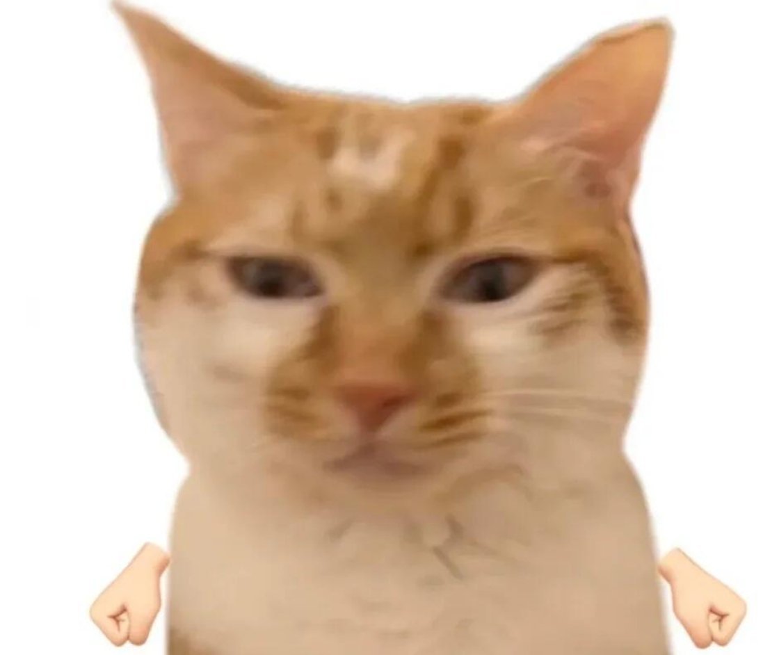 芬兰总理正式道歉不理解不尊重不原谅 