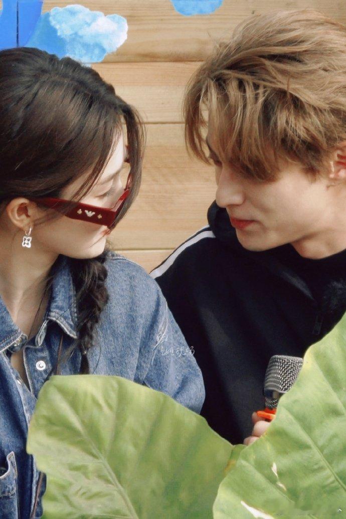 王鹤棣依偎在白鹿肩上亲爱的客栈2026亲爱的客栈 王鹤棣依偎在白鹿肩上的画面好温