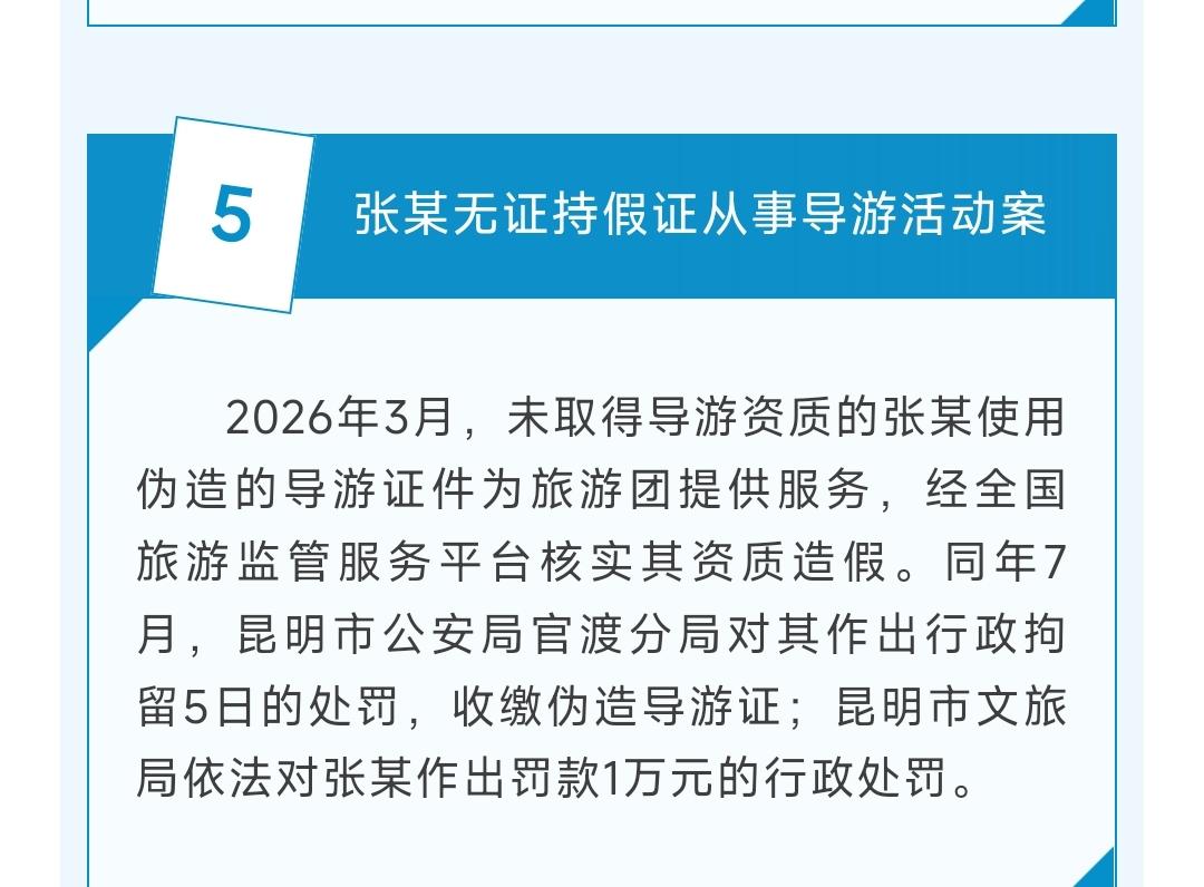 2026年3月，未取得导游资质的张某使用伪造的导游证件为旅游团提供服务，经全国旅
