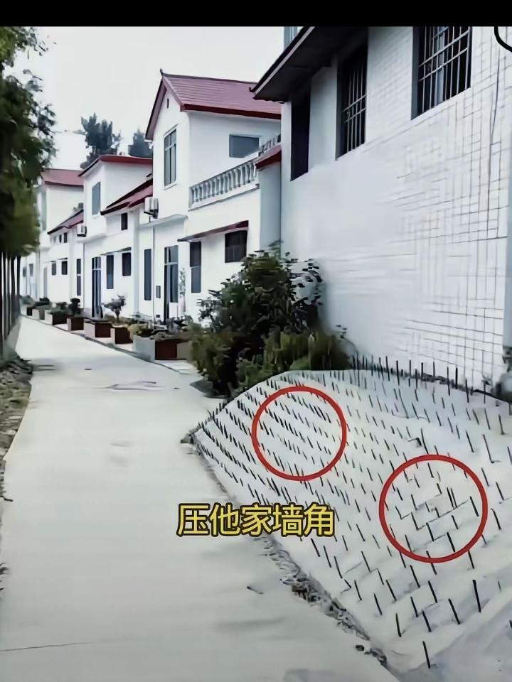 这家人的操作绝对是一家狠人，墙根下面已经整成了坡度，还不满意，又插了这么些钢筋棍