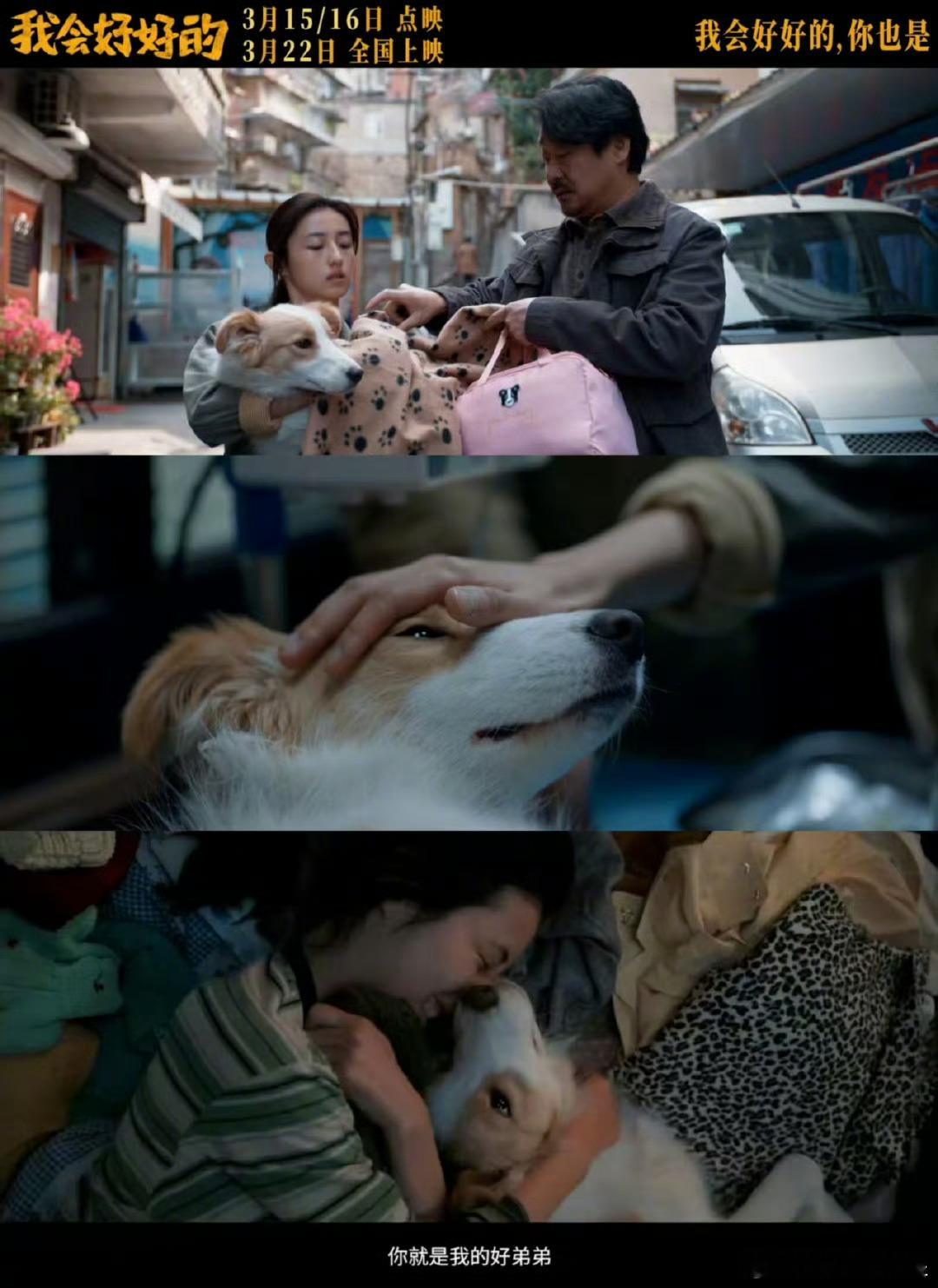我会好好的养宠人照镜子《我会好好的》就是养宠人真实的镜子，记录你我养宠生活点点滴