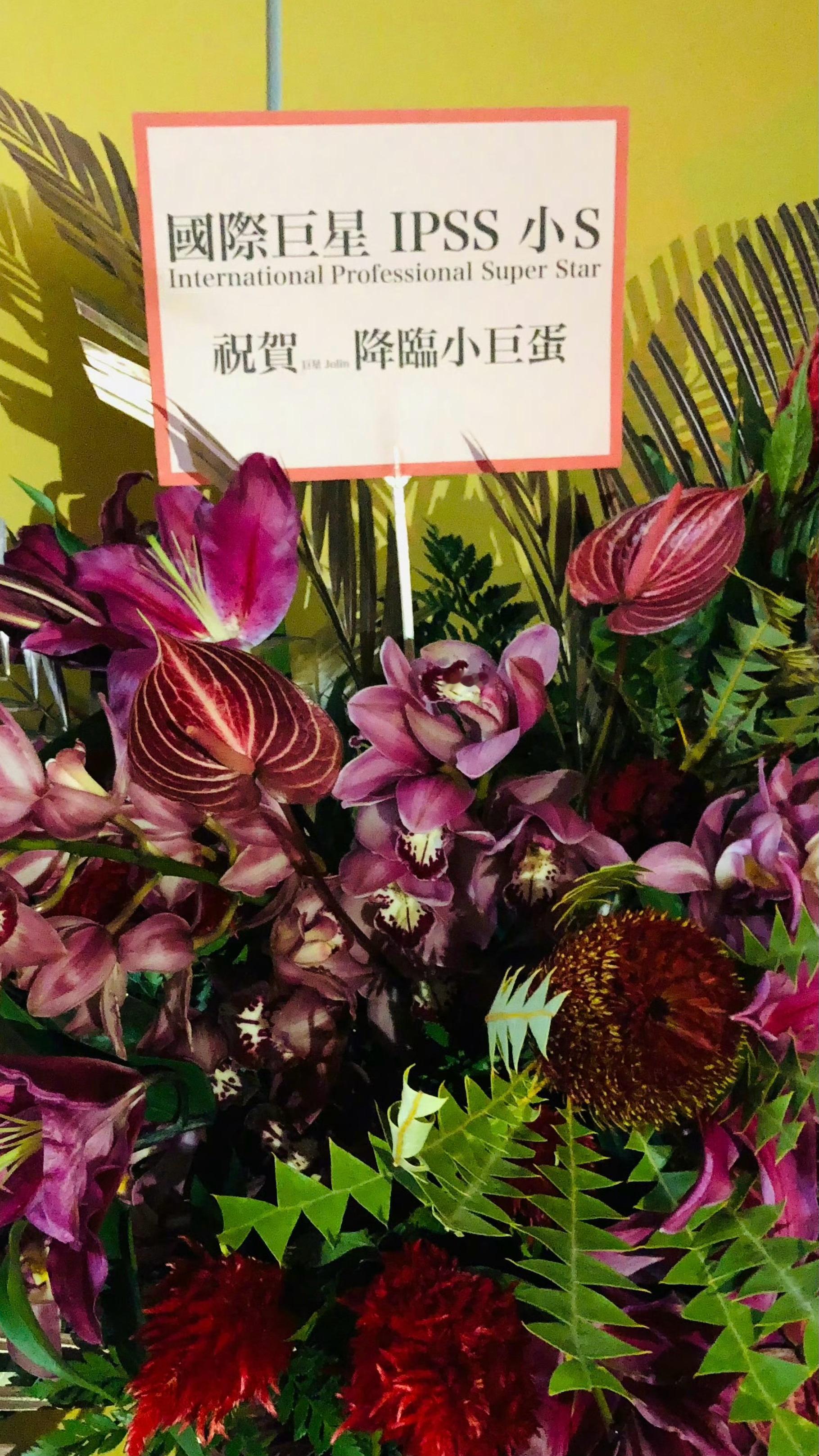 哈哈哈哈可爱又有趣的小S[春遊家族][春遊家族][春遊家族] 