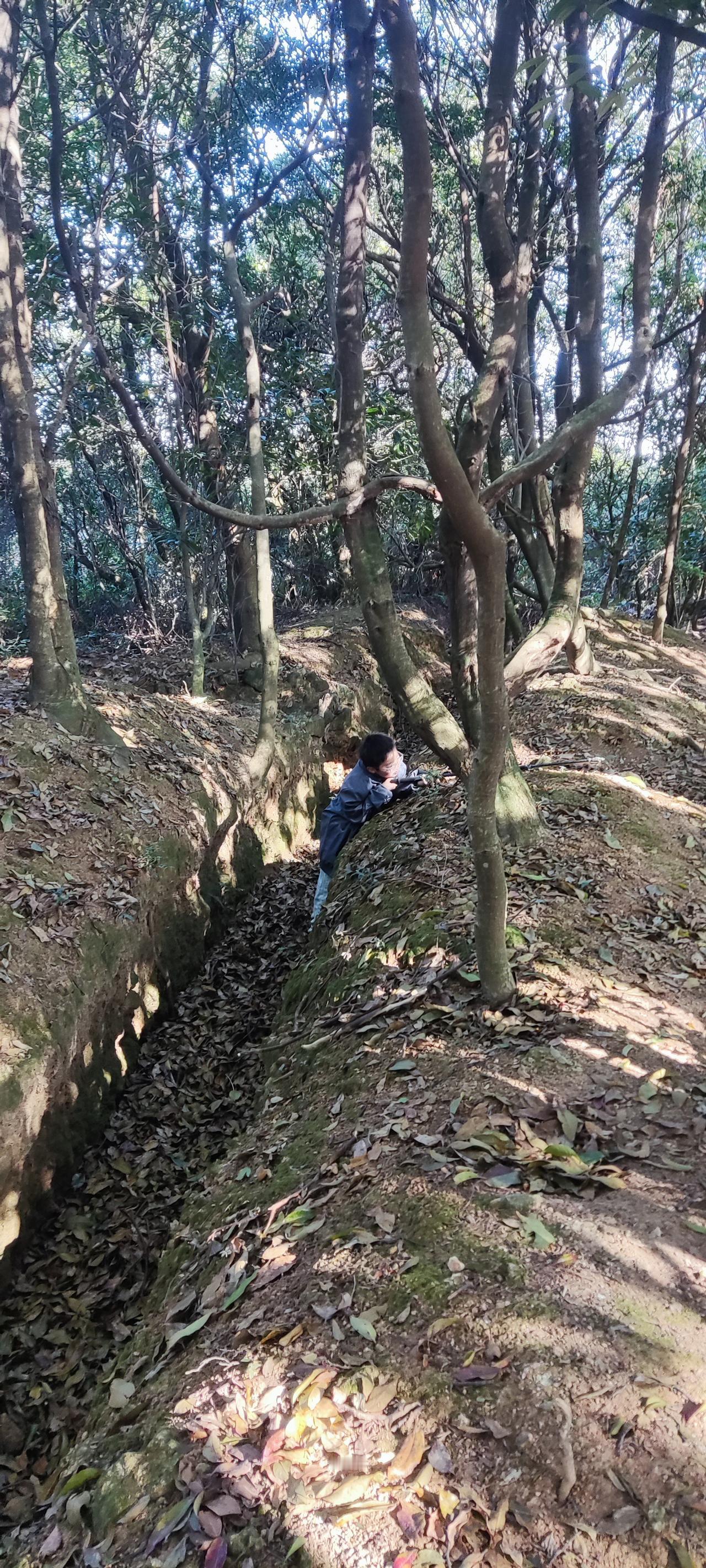 电动车碰瓷新套路曝光！你中招了吗？

随着城市交通的繁忙，电动车成为许多人的首选