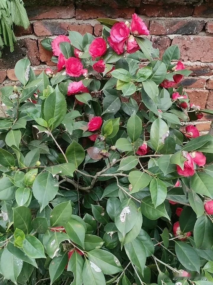 女人这辈子，能靠谁？靠父母，父母会老；靠伴侣，人心会变；靠朋友，交情会淡。
 