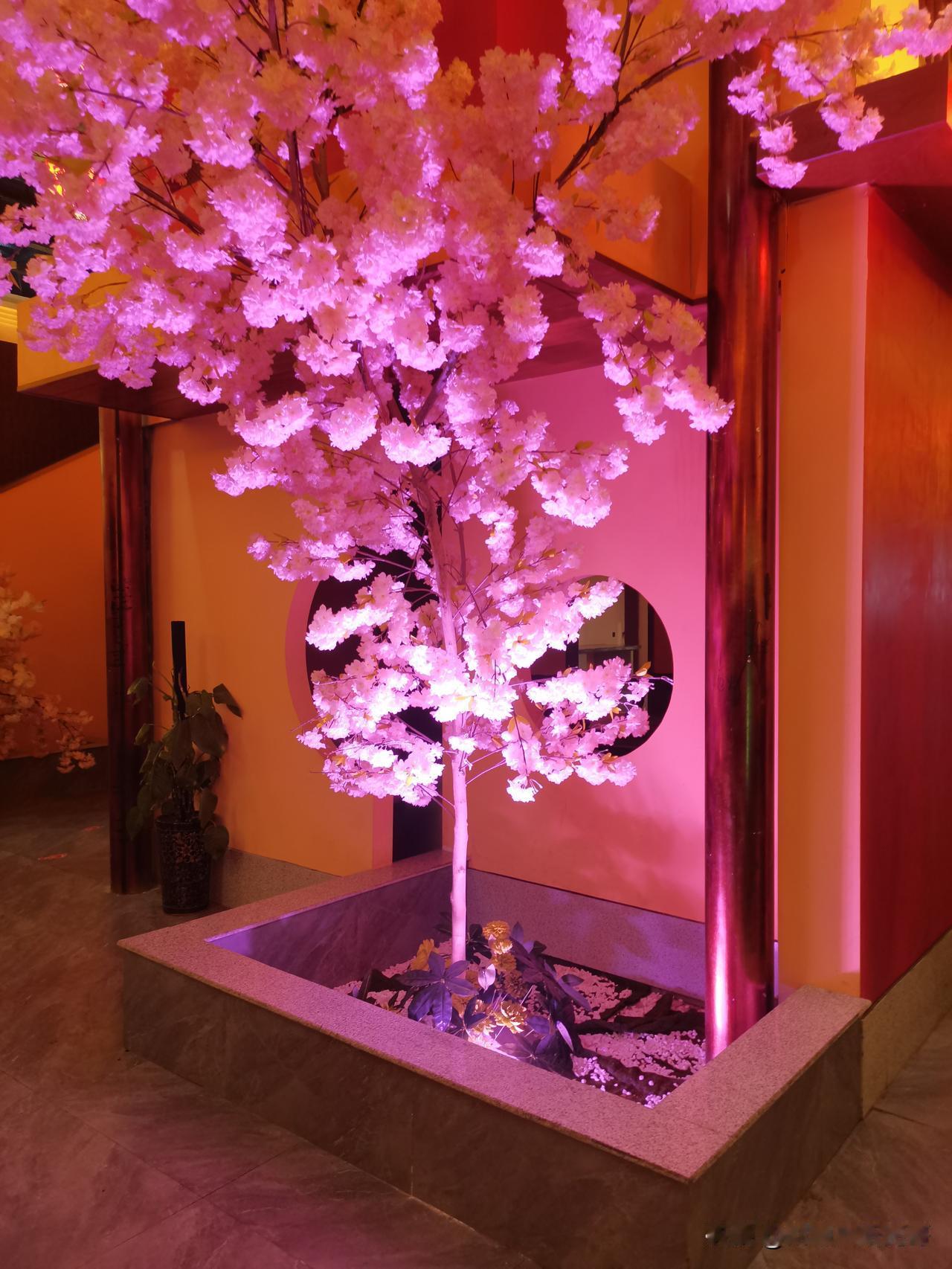 生命的本质是什么  生命的本质，从不是长短的丈量，而是一场赤诚的奔赴与热烈的绽放