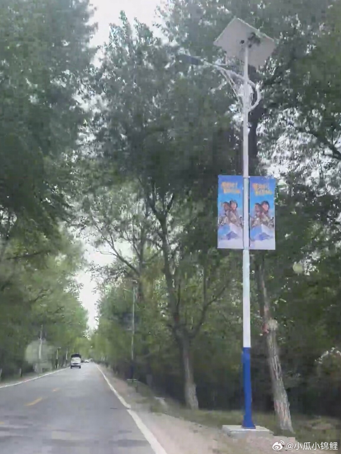 生命树真的太棒了播出后实现意义更大 