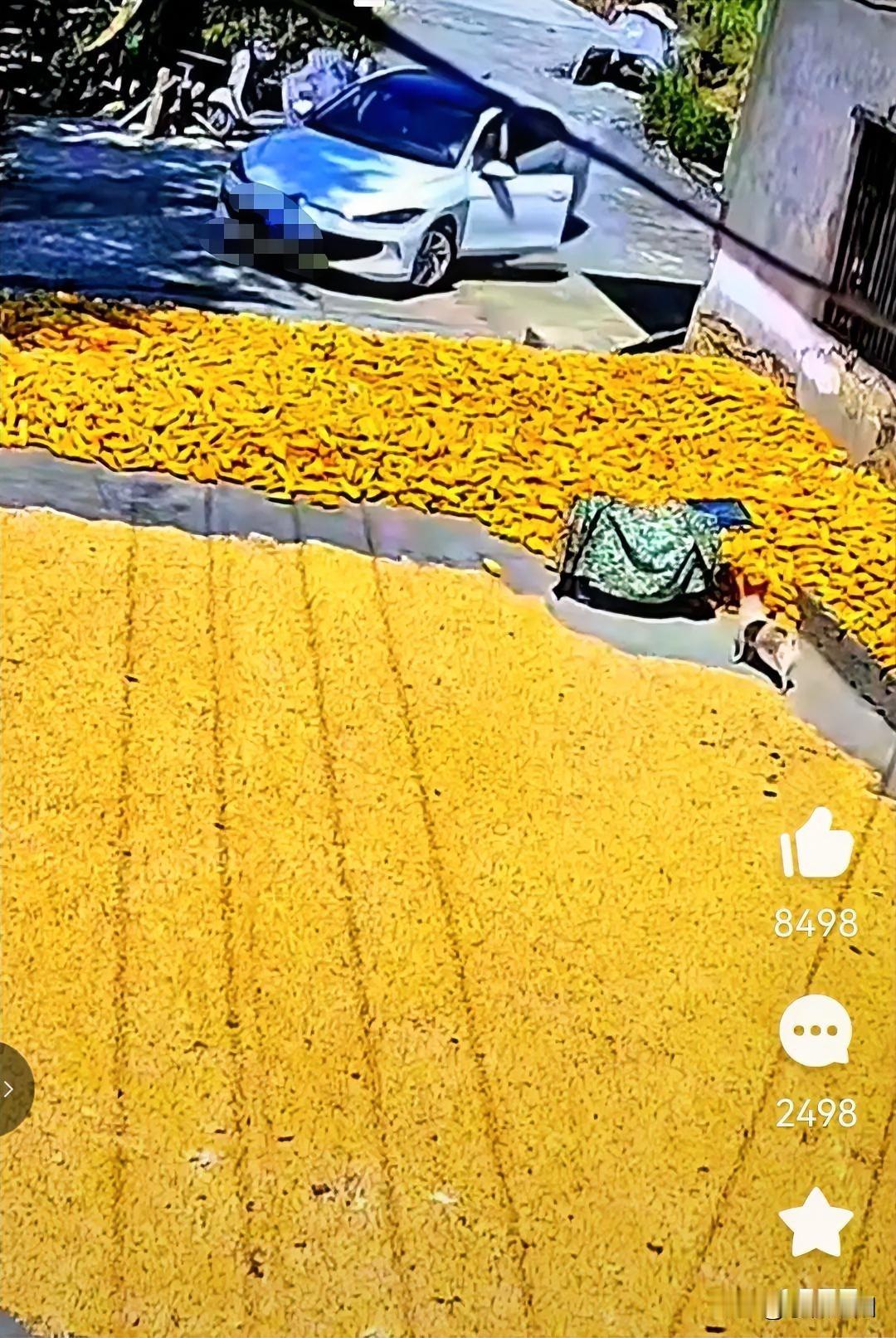 别人用自家的院坝晒粮食，没错啊，但是到你家房子又必须要经过别人家院坝，这只能把车